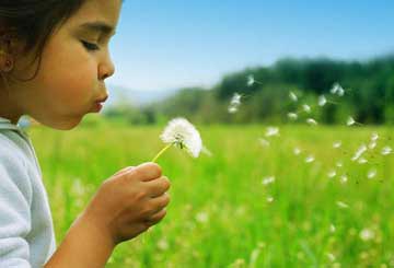 داستانک،داستانهای کوتاه
